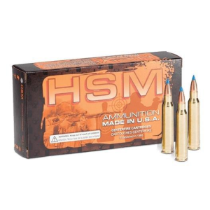 HSM Varmint V-Max 300 AAC Blackout Rifle Ammunition 20 Round Box