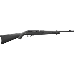 Ruger 10/22 Takedown 22 LR Rifle