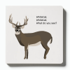 Mule Deer, Mule Deer, What do you see? - Whitetail, Whitetail