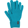 Icebreaker Rixdorf Glove