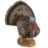 Rinehart Woodland Strutting Turkey Target