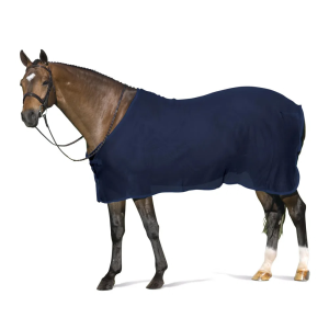 CENTAUR Scrim Horse Dress Sheet - Centaur