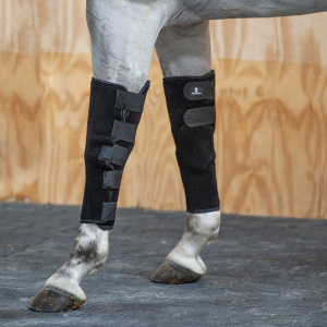 CLASSIC EQUINE Black Breeding Boots (BREEDINGBOOTS) - Classic Equine