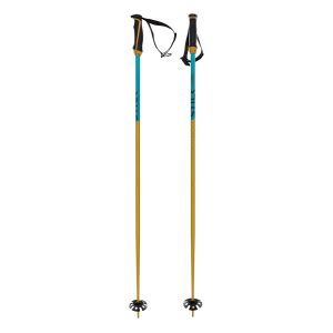 VOLKL Phantastick 18mm Poles - Volkl