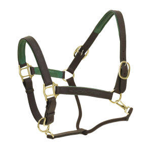 OVATION Richtan Luxury Padded Halter (471135) - Ovation