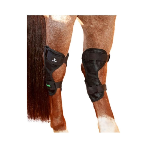 CLASSIC EQUINE MagNTX Hock Wrap (EM22HW) - Classic Equine