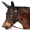 CASHEL Quiet Ride Mule Warmblood Fly Mask with Long Nose and Ears (QRMWBLE)