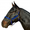 INTREPID INTERNATIONAL Poly with Leather Crown Halter