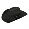 ARIAT ACCESSORIES Mens Added Money 2X Wool Felt Cowboy Hat