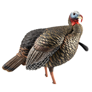 Avian X HDR Jake Turkey Decoy - Avian X