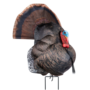 Primos Hunting Photoform Strutter Turkey Decoy - Primos Hunting