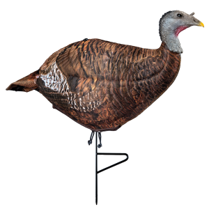 Primos Hunting Photoform Leading Hen Turkey Decoy - Primos Hunting