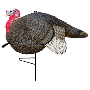 Primos Gobbstopper Jake Turkey Decoy - Primos Hunting