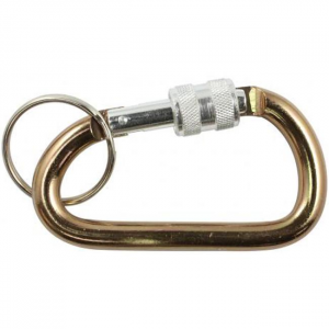Carabiner 8cm Locking Key Chain -  Bison Designs