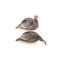 H.S. Strut Strut-Lite Jake and Feeding Hen Turkey Decoys 2 Piece