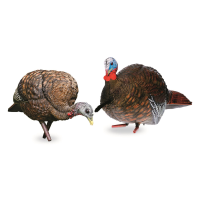 Avian-X LCD Jake and Hen Combo Turkey Decoys