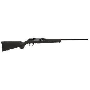 SAVAGE ARMS A17 17 HM2 20" 10rd Semi-Auto Rifle - Black