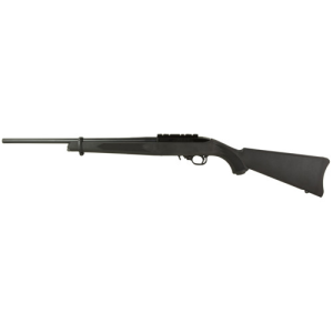 Ruger 10/22