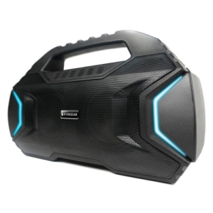 ECOXGEAR EcoRoam 100 Portable Bluetooth Speaker - Ecoxgear