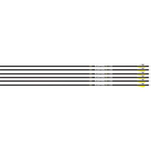 EASTON TECHNICAL 5.0 300 2" BLAZER VANES, W/50 GR HO