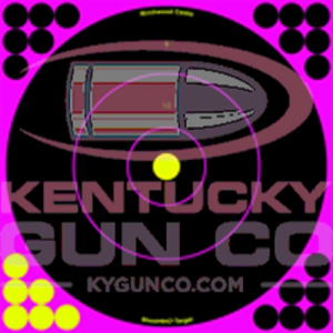 BIRCHWOOD CASEY Shoot-N-C 12" Pink Bull's-Eye Target - 5 targets