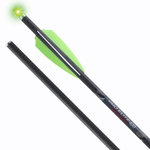 TENPOINT Pro Elite 400 Select Alpha-Blaze Carbon Arrows 20"