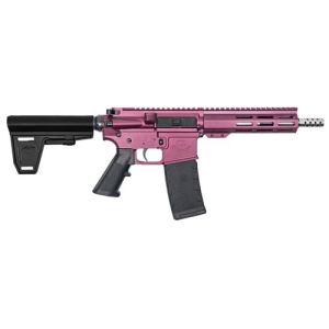 GREAT LAKES FIREARMS AR15 Pistol w/Brace 223 Wylde 7.5" SS Black Cherry