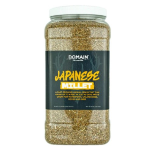 DOMAIN OUTDOORS Japanese MIllet