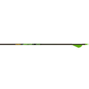 GOLD TIP Hunter XT - 340 - 2" Raptor Vanes 1/2dz