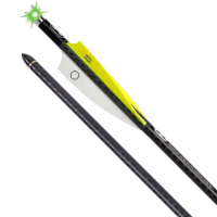 TENPOINT EVO-X CenterPunch Alpha-Blaze Carbon Arrows 20"