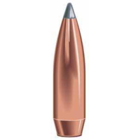 SPEER AMMO Reloading Bullets BT SP BU 30 Caliber 180 Grain 100rd