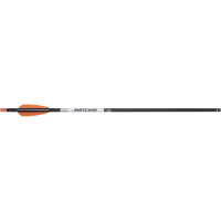 WICKED RIDGE Match 400 Carbon Arrows 20" w/ Alpha-Nock HP .00
