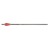 BARNETT OUTDOORS Head Hunter Carbon Crossbow Bolts 20" 5pk