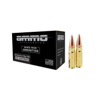 Ammo Inc Range FMJ Ammo